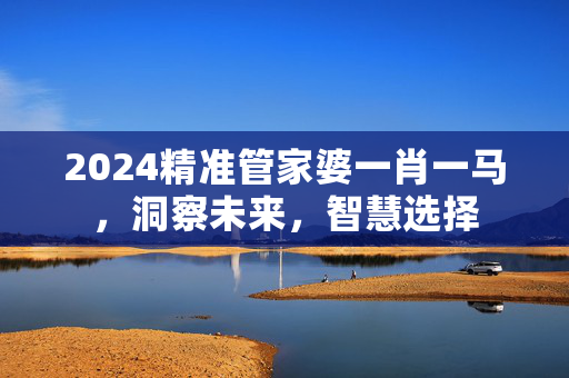 2024精准管家婆一肖一马，洞察未来，智慧选择