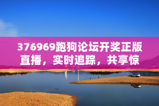 376969跑狗论坛开奖正版直播，实时追踪，共享惊喜