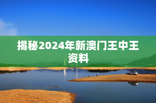 揭秘2024年新澳门王中王资料