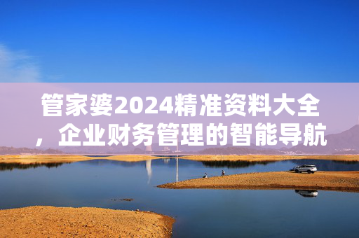 管家婆2024精准资料大全，企业财务管理的智能导航