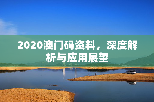 2020澳门码资料，深度解析与应用展望