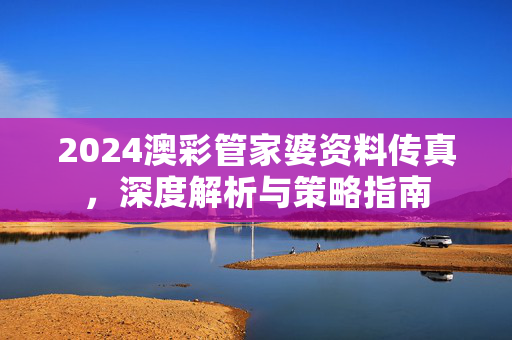 2024澳彩管家婆资料传真，深度解析与策略指南