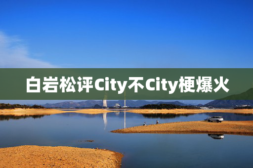 白岩松评City不City梗爆火