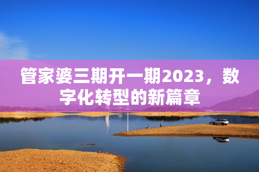 管家婆三期开一期2023，数字化转型的新篇章