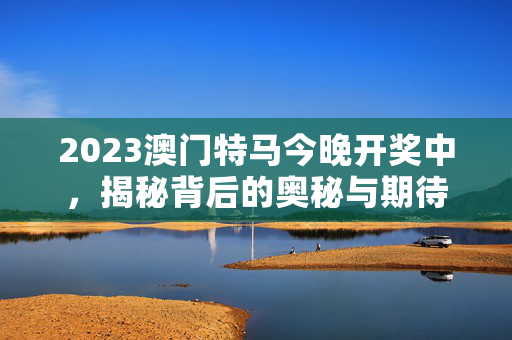 2023澳门特马今晚开奖中，揭秘背后的奥秘与期待