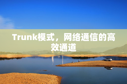 Trunk模式，网络通信的高效通道