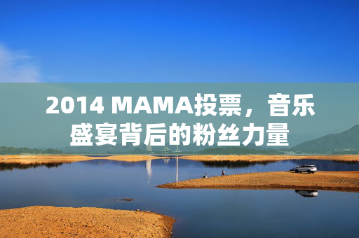 2014 MAMA投票，音乐盛宴背后的粉丝力量