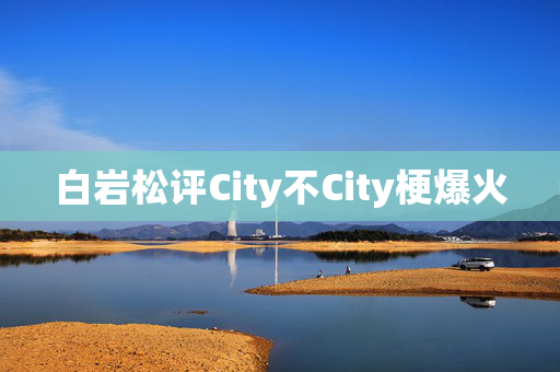 白岩松评City不City梗爆火