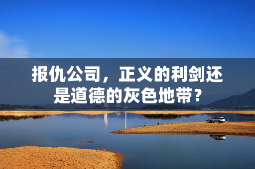 报仇公司，正义的利剑还是道德的灰色地带？