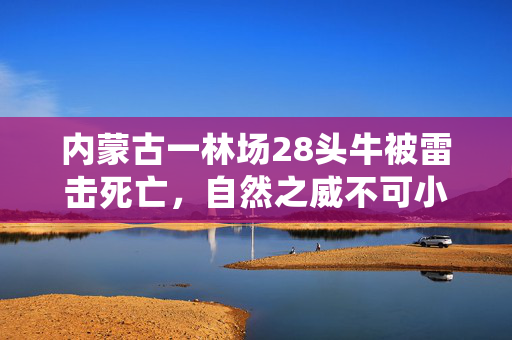 内蒙古一林场28头牛被雷击死亡，自然之威不可小觑