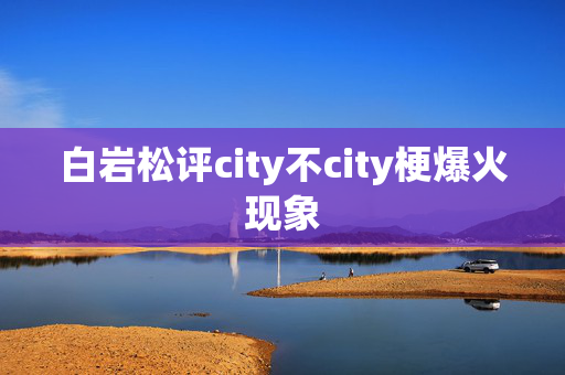 白岩松评city不city梗爆火现象