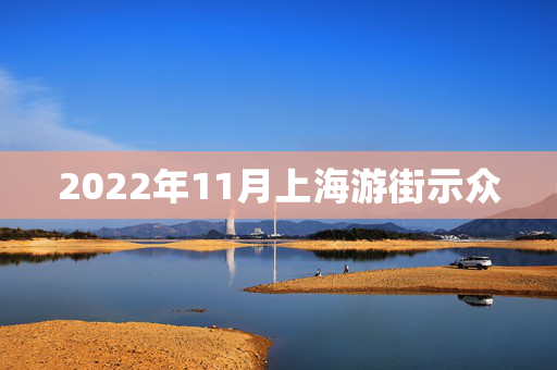 2022年11月上海游街示众