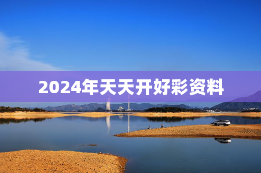 2024年天天开好彩资料