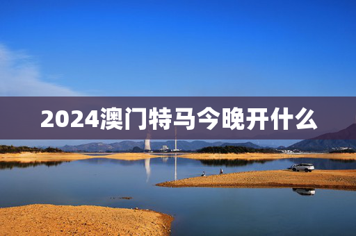 2024澳门特马今晚开什么