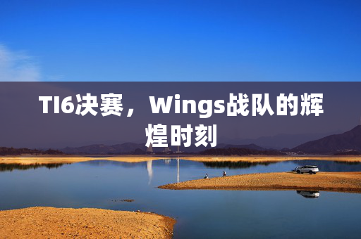 TI6决赛，Wings战队的辉煌时刻