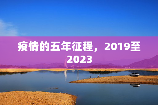 疫情的五年征程，2019至2023