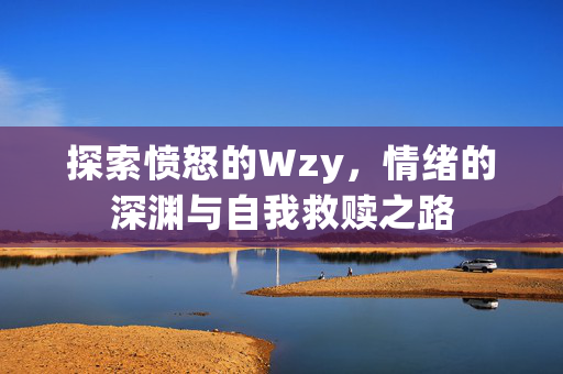 探索愤怒的Wzy，情绪的深渊与自我救赎之路