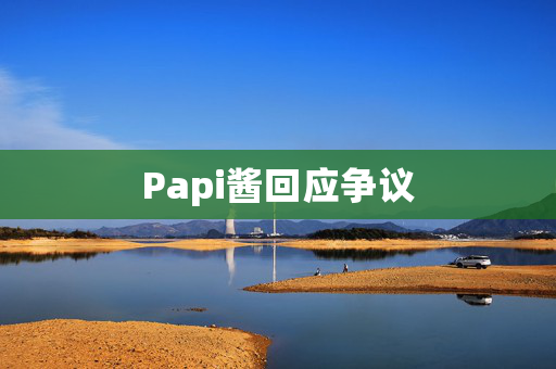 Papi酱回应争议