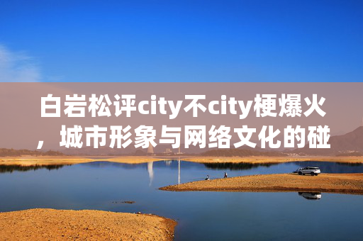 白岩松评city不city梗爆火，城市形象与网络文化的碰撞