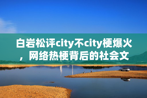 白岩松评city不city梗爆火，网络热梗背后的社会文化现象