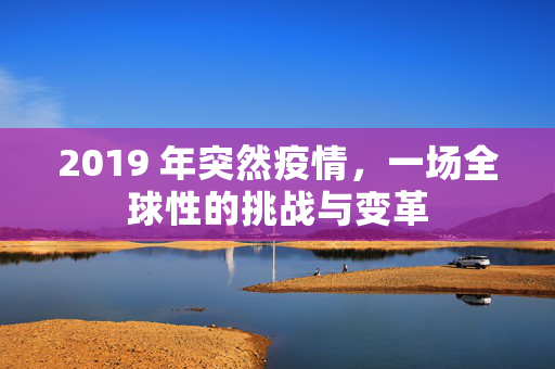 2019 年突然疫情，一场全球性的挑战与变革