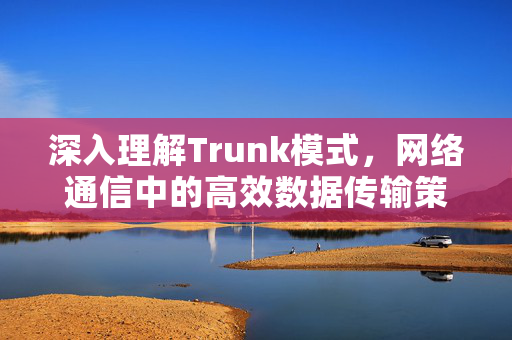 深入理解Trunk模式，网络通信中的高效数据传输策略