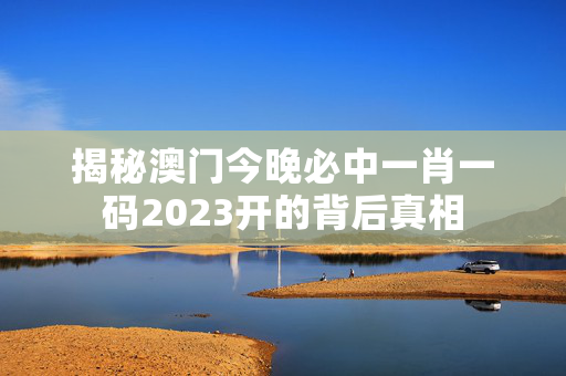 揭秘澳门今晚必中一肖一码2023开的背后真相