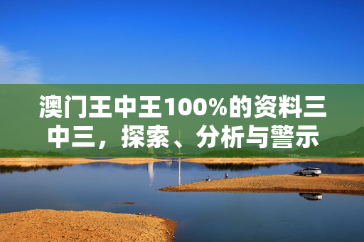 澳门王中王100%的资料三中三，探索、分析与警示