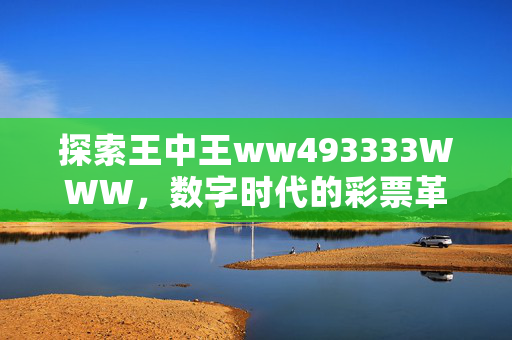 探索王中王ww493333WWW，数字时代的彩票革新之旅