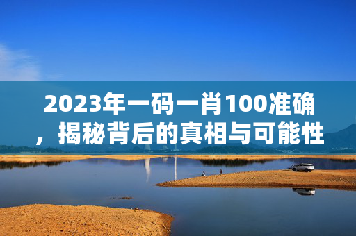 2023年一码一肖100准确，揭秘背后的真相与可能性