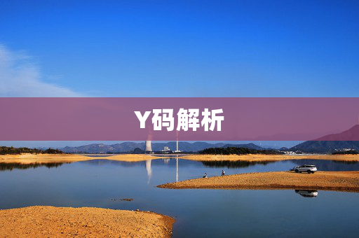 Y码解析