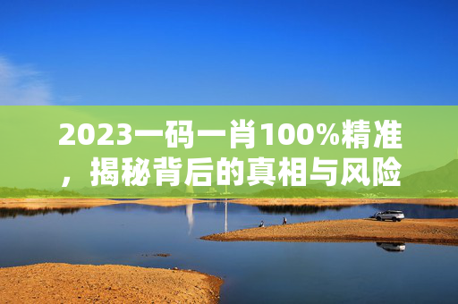 2023一码一肖100%精准，揭秘背后的真相与风险