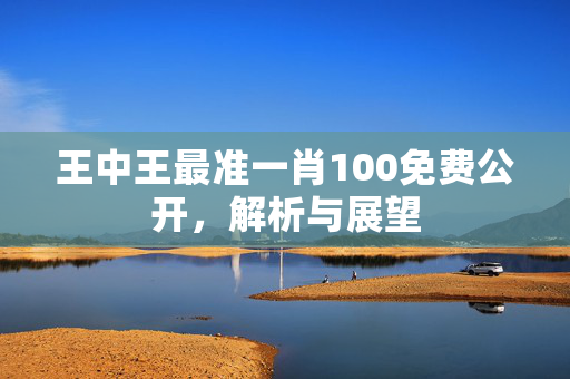 王中王最准一肖100免费公开，解析与展望